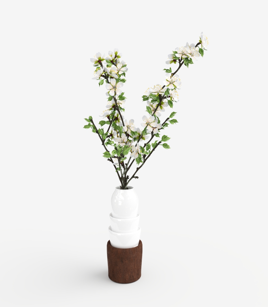 SM FILES - BLOCOS 3D VRAY E SKETCHUP - PRUNUS DOMESTICA (2)